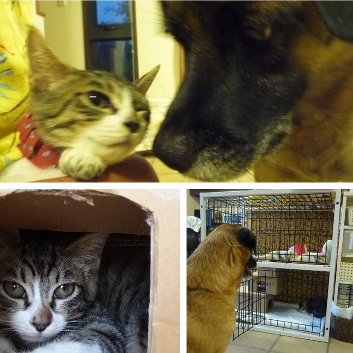 Fc288e28 5aec 4f08 996b e7d980e7bb3f