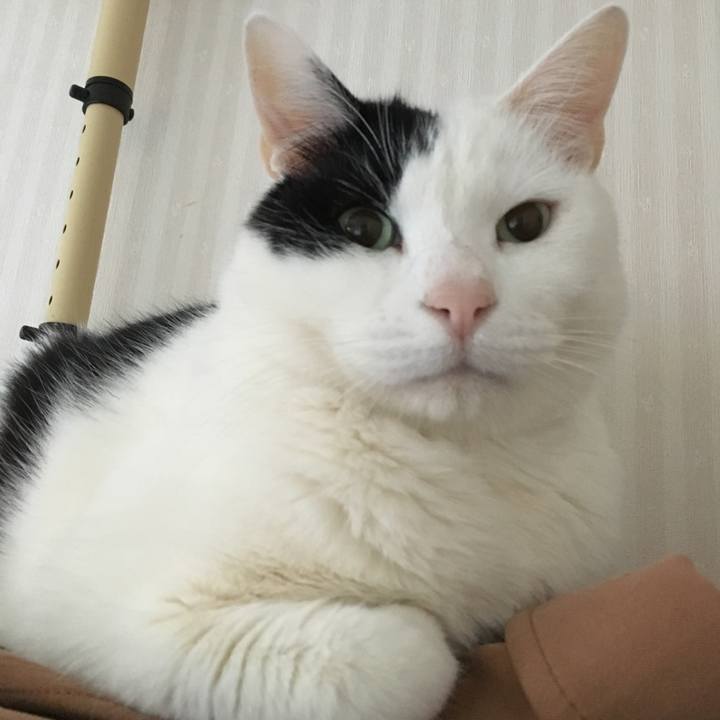 Fc28fa6f e0c7 46ba a190 c55ac494da92