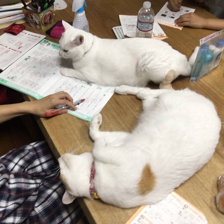 Fc29e947 8c9b 4ceb 9e2c 91e4b8d1d780