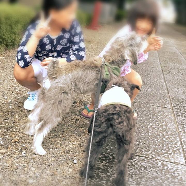 Fc2bc892 b5c0 4866 b062 cf75c1eae1c5