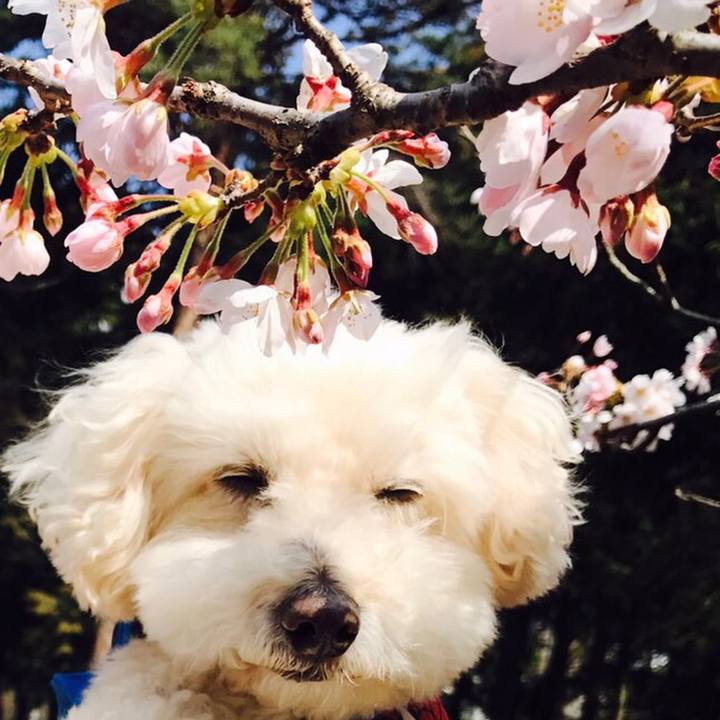 Fc2c71ec b6dd 4054 a051 77f77242da12