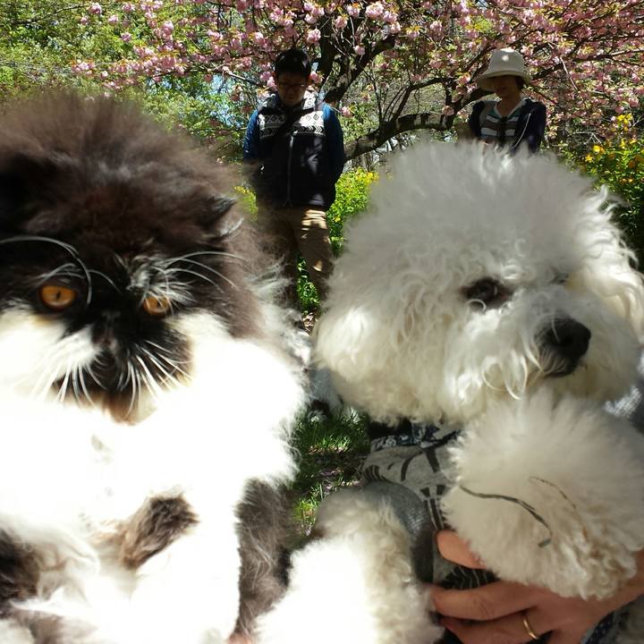 Fc2cd2a0 87e8 4e20 a6c3 87b9ea305414