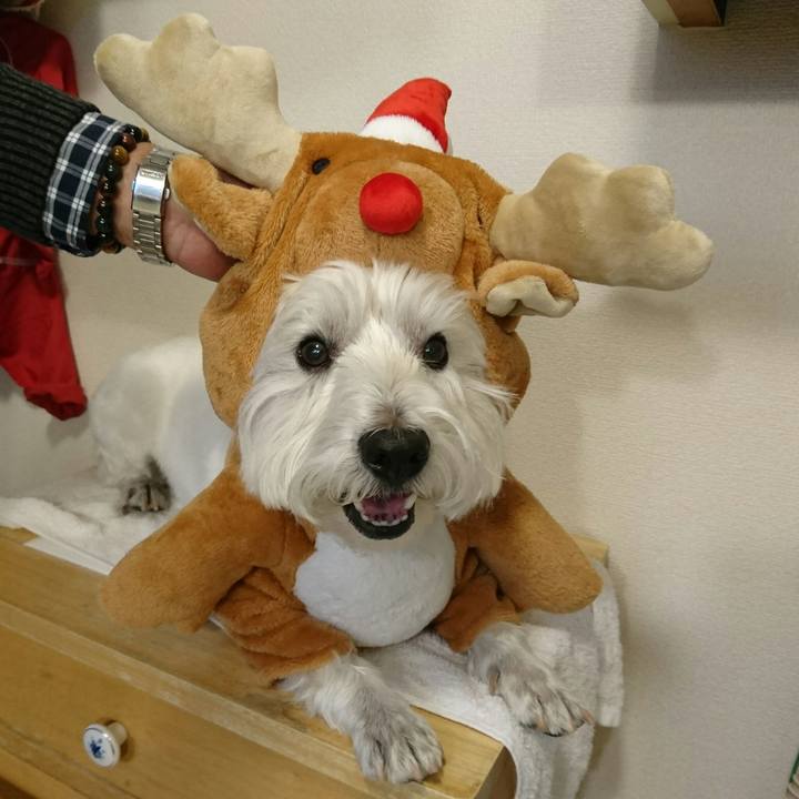 Fc2d0589 af0b 4553 9873 1235380a4040