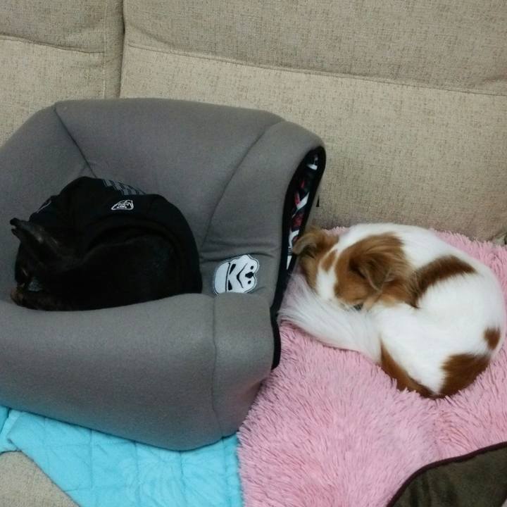 Fc2d22d5 6670 478e 8258 561d8f4a3ad7