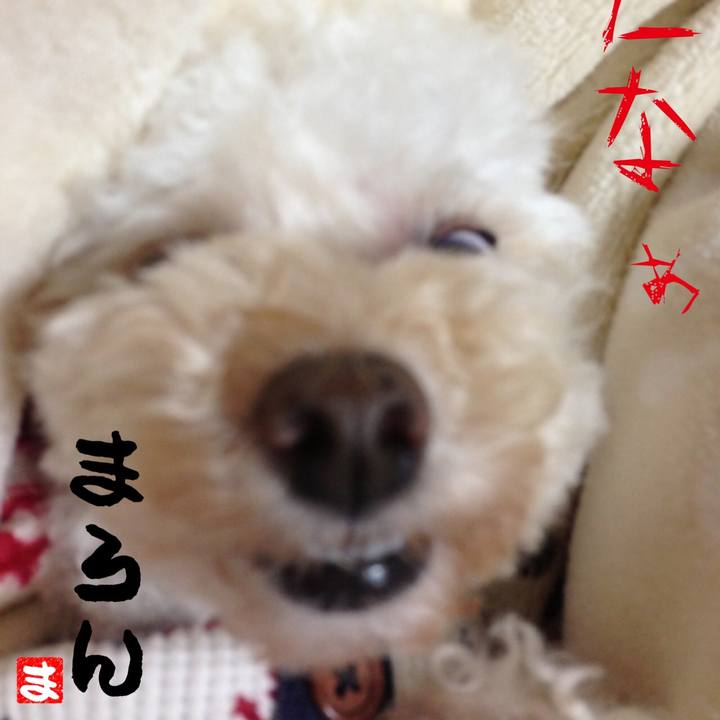 Fc2df436 bfdb 440e a6db 5f92787f16b9