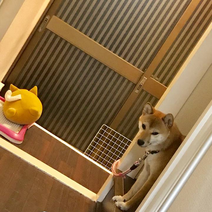 Fc2e03b7 ff7a 405c 95ba 172f152a34c2