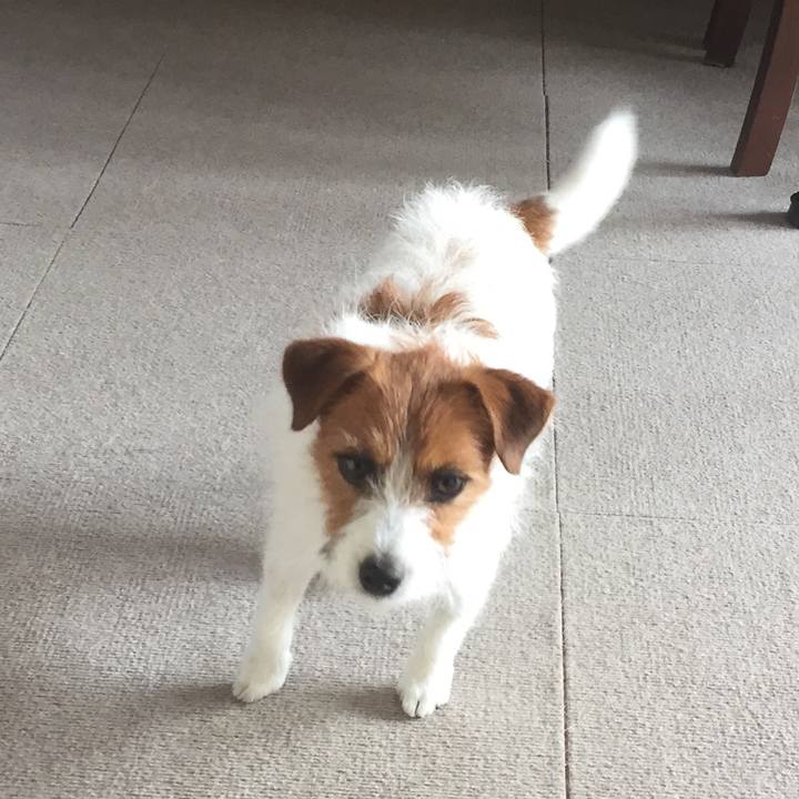 Fc2ee9f7 ae3b 42cc b1c7 73655bc584ad