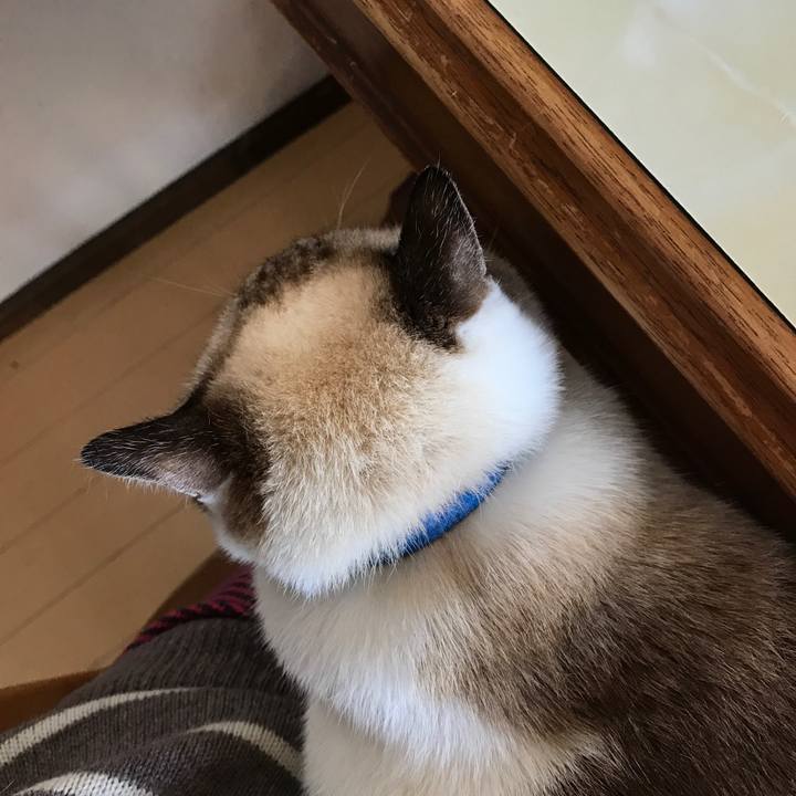 Fc2f5d02 0d69 44b3 a60a 41fd0c8eac75