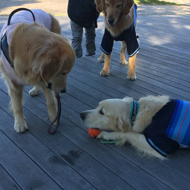 Fc30273e 293d 4db8 8cdc 8daab1da92e2