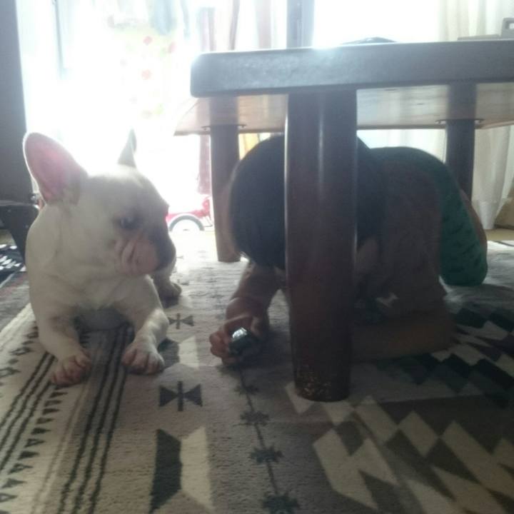 Fc3078b3 302b 4b5a 8342 429f0cabe83f