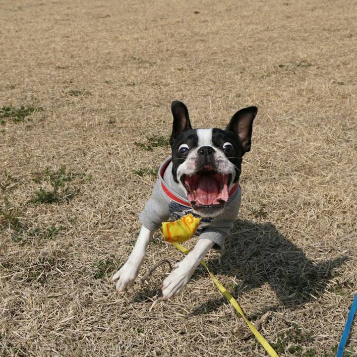 Fc3143aa 2224 4426 bea3 80a06adcc538