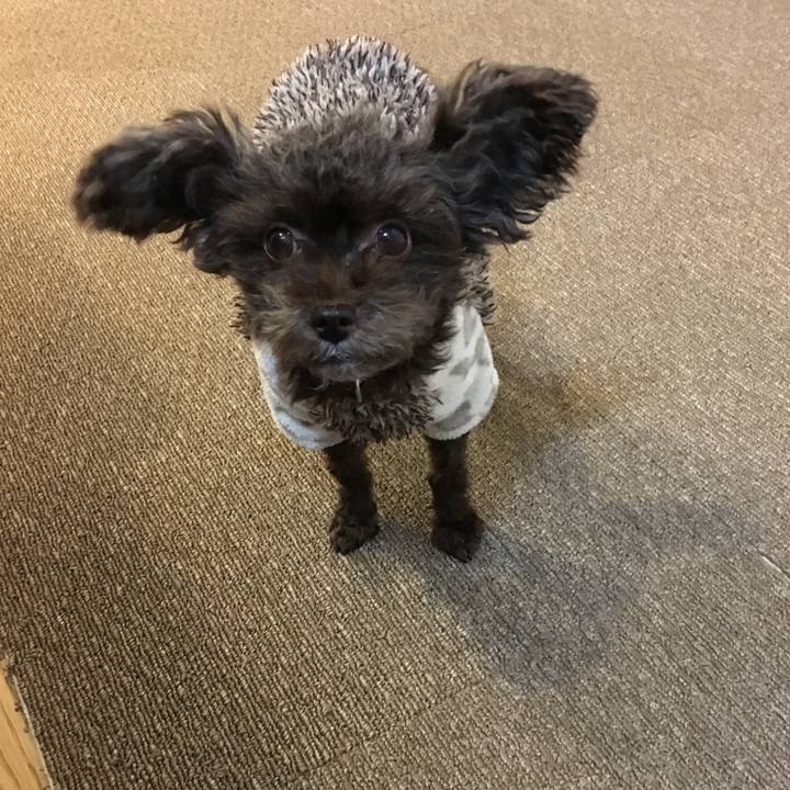 Fc319a96 91ee 47a0 80de 7ba1a8e6e555