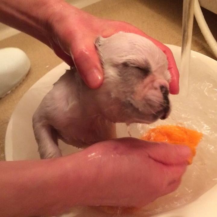 Fc325499 2f52 48c2 989f b2309a1c0c1d