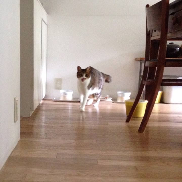 Fc327b76 8efb 4bb4 b741 21b61c6f4e39