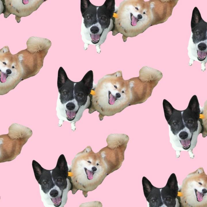 Fc327dcd 98f7 48ac b76a a6eb62449500