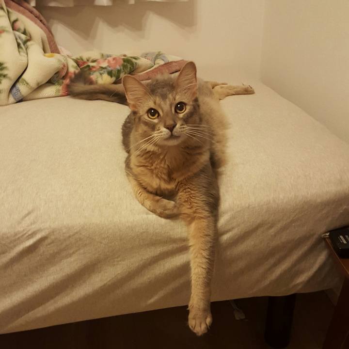 Fc329d1e 857f 44fa a0ce b08e19f62cf1