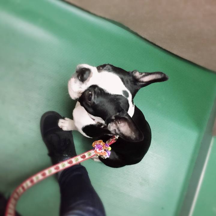 Fc32bf86 0e02 4ece afa1 6c753b71df94