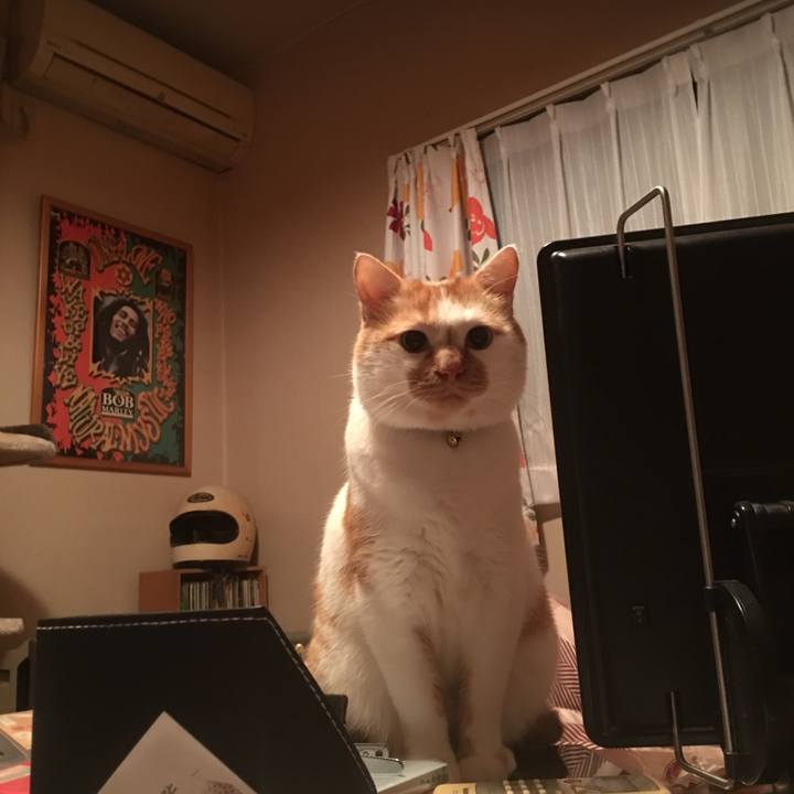 Fc32d5a3 fa2a 4735 a5ee 6910ceafbe6a