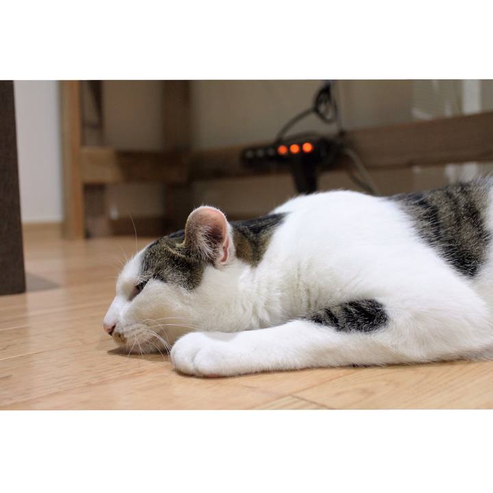 Fc340aa6 904b 491f aa17 5a11a380a155