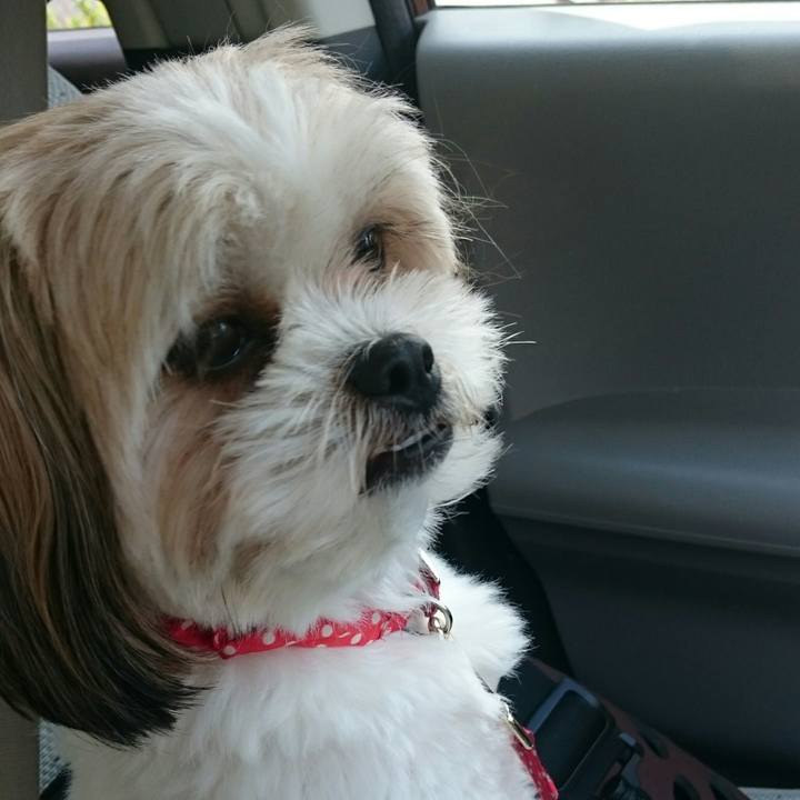 Fc342b86 5e2e 4b86 8143 1b94e1472e48