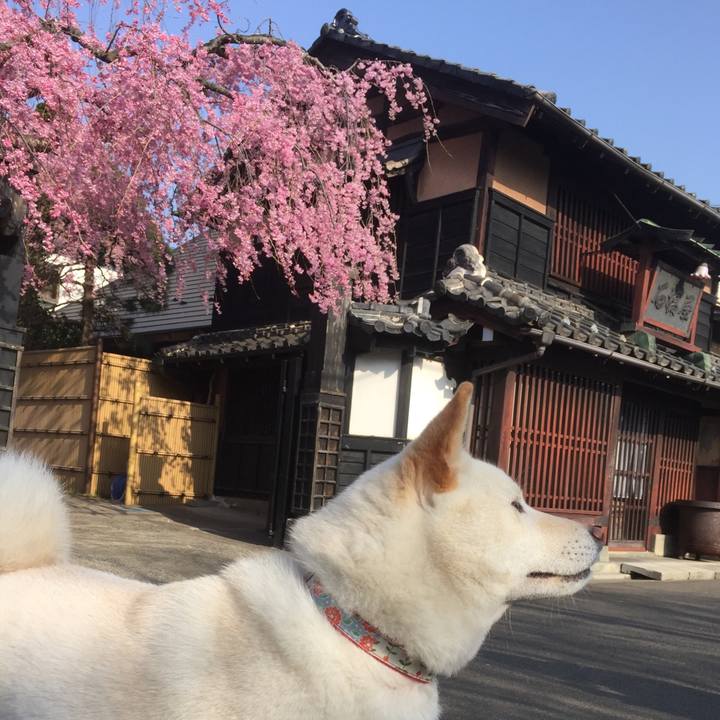 Fc346f9f 7527 419b 9900 53c98aac94e0