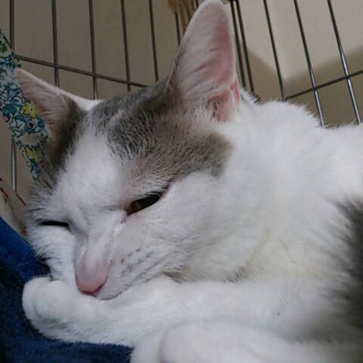 Fc34d572 e3e5 42b0 a750 ddc222dd629b