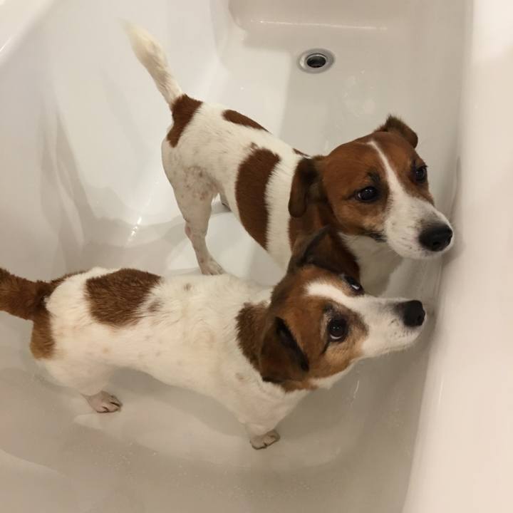 Fc35482c 915e 4149 b93e 2db65e918848