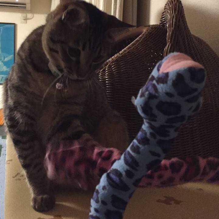 Fc357f8d 468f 403c 96c8 044b6cab06ac