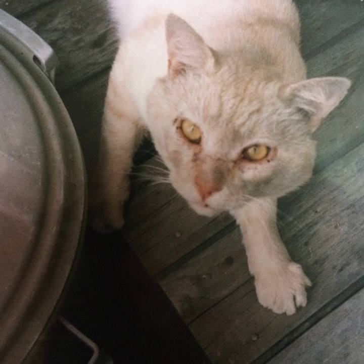 Fc35f1fe fb73 4d13 84d8 b4aeb32f3ac9