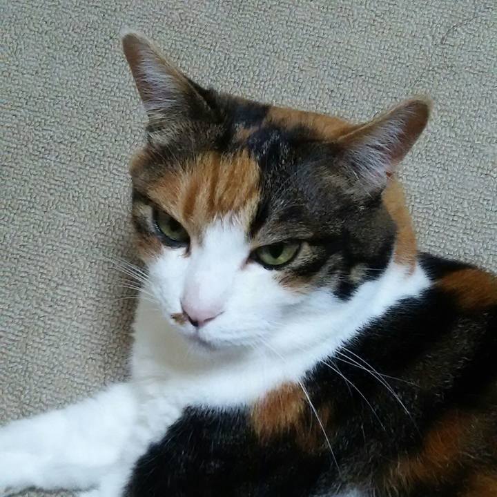 Fc3602e2 8d6e 47f5 9326 035f40bfd69e