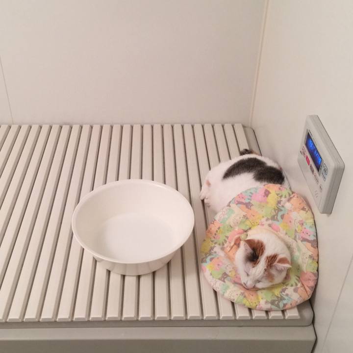 Fc36b334 de45 4e9b b667 92e512c4016b