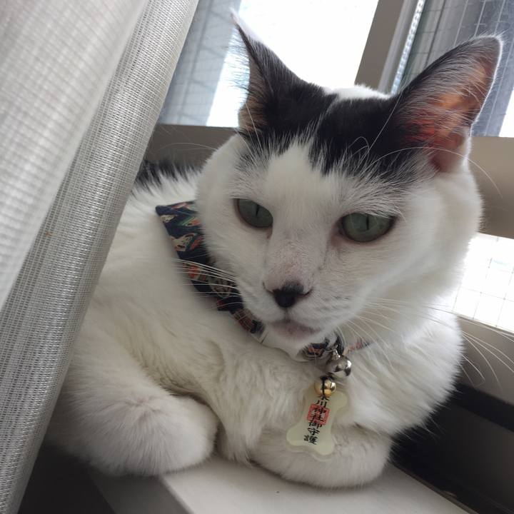 Fc36c45e 750d 4438 af64 0f5dc370a894