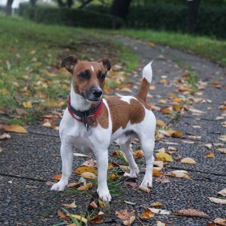 Fc36d66f 9e00 4877 b306 e20ef8faeb3c