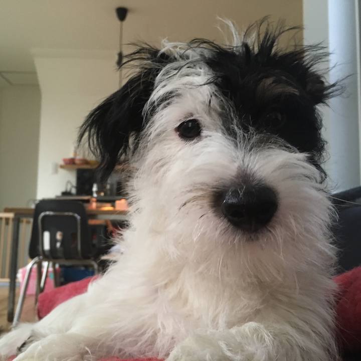 Fc37c107 813a 48fc a98c fed8dd7e63c5