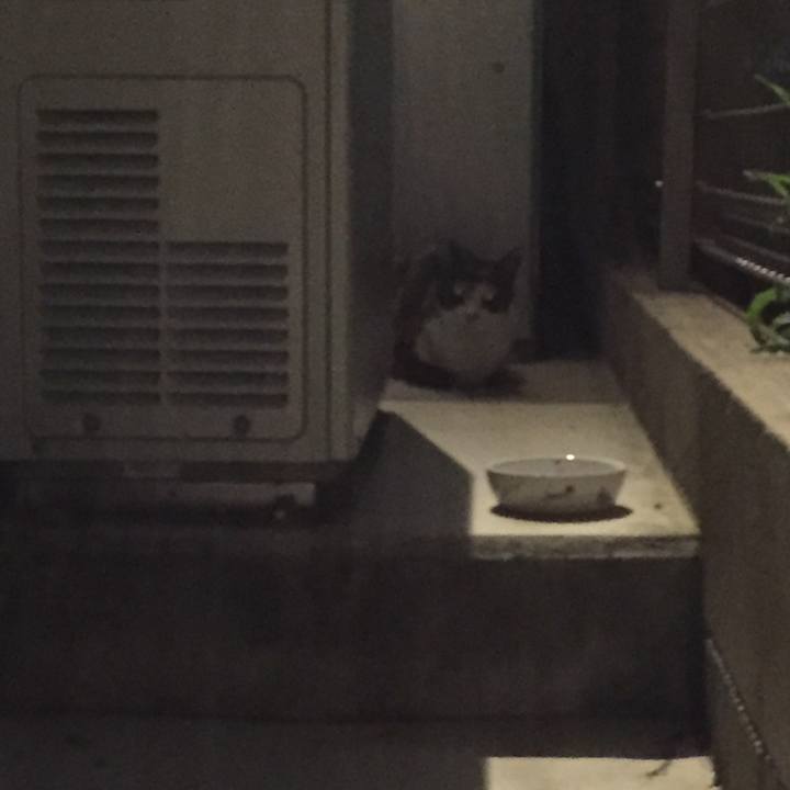 Fc37c939 21ba 427c aa5f 395ad0f8530a