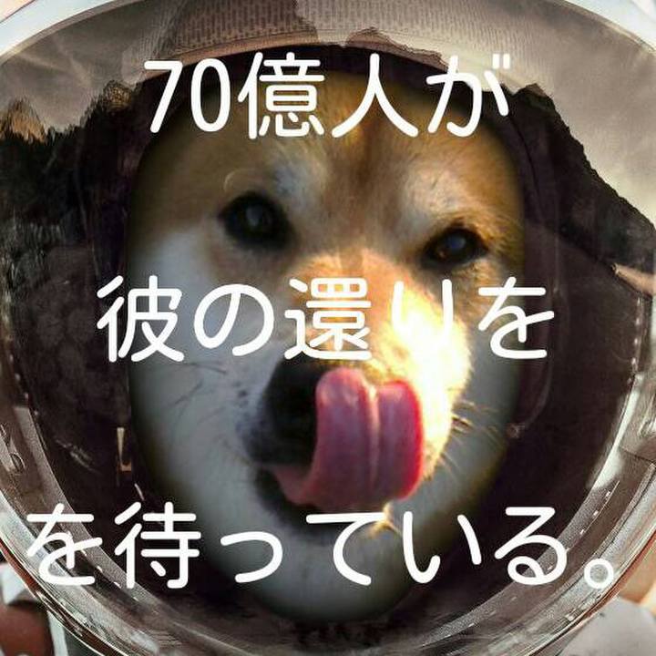 Fc38d7de 7148 47b4 a0f9 7d3f9e0d2414