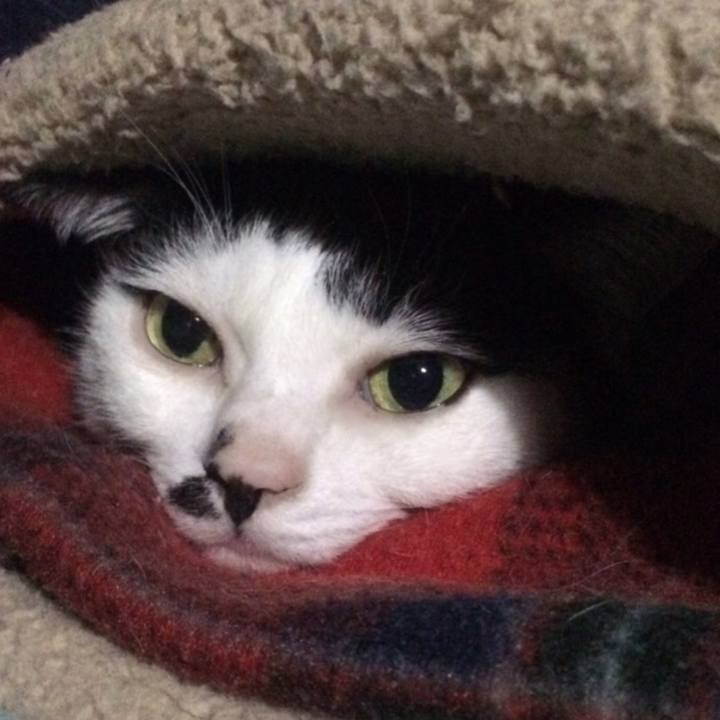 Fc3930f6 d6a3 4eac 94d8 1f9b0af70eb5