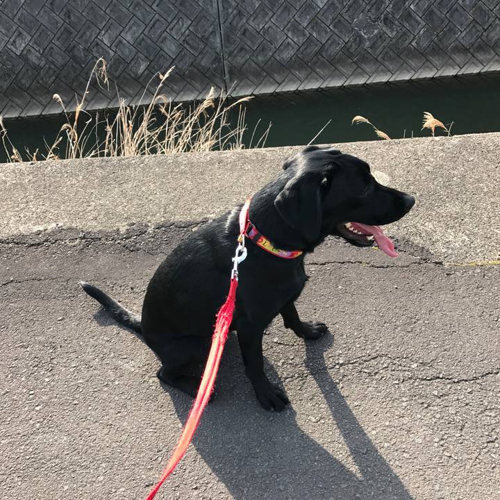 Fc3a2510 5f1f 4e0c b72b d2df2e4bc682