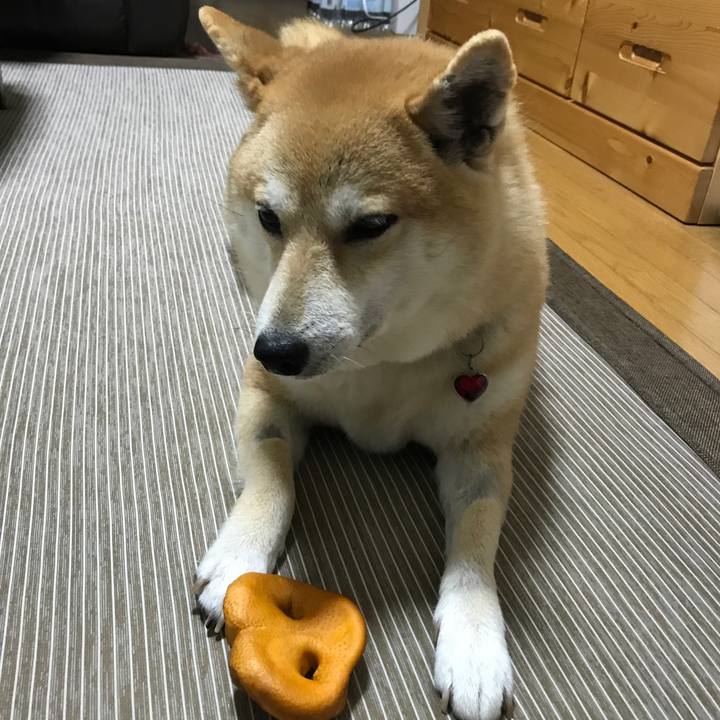 Fc3adbde 1b34 4de9 9397 6f3ecacec8a5