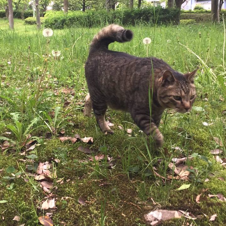 Fc3b2a8e 6d05 4e13 b25d cd18990aef2a