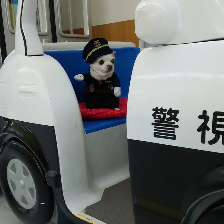 Fc3b5d4f ed32 4896 be42 b329ea9edf52