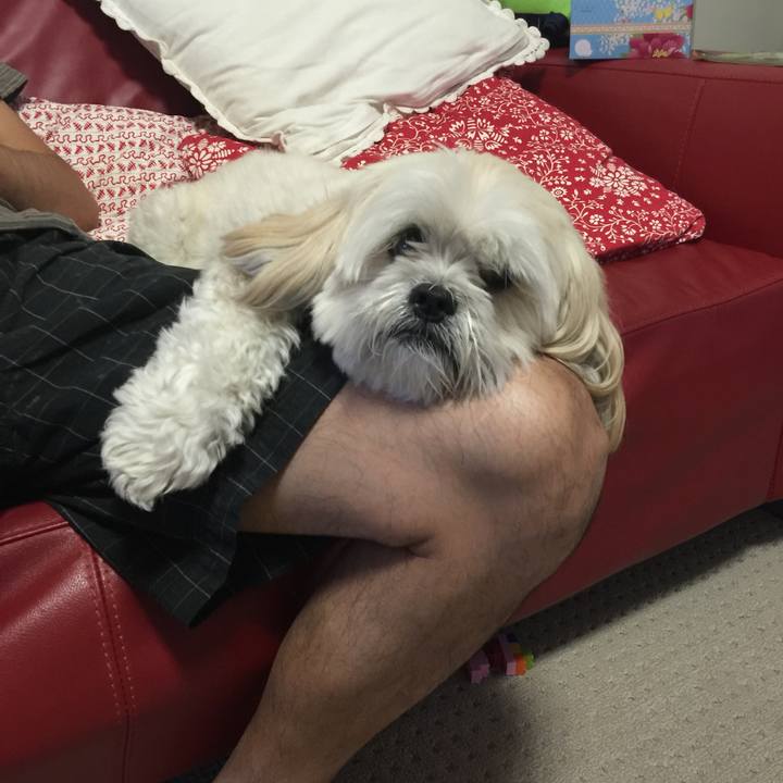 Fc3baddb 98d4 44ca b8d0 21524cbc06b0