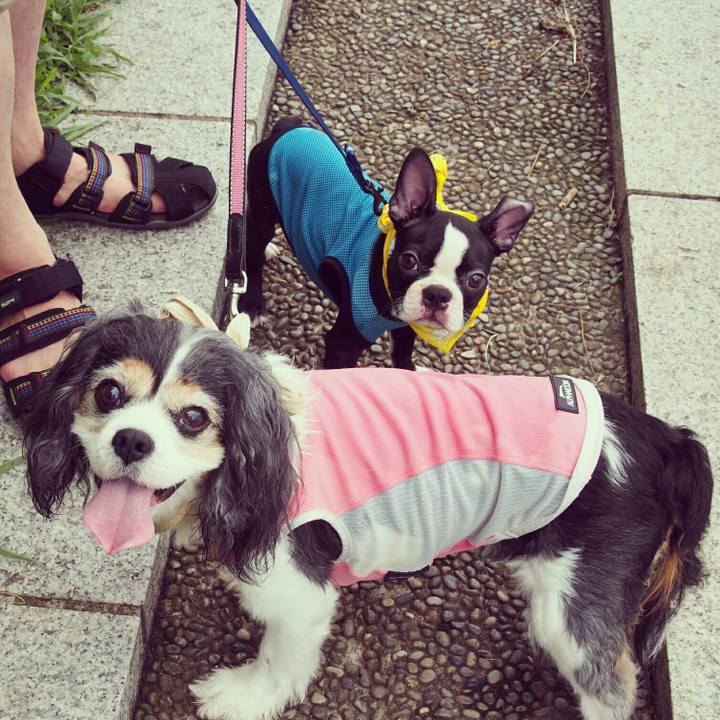 Fc3bd484 5a2a 4d5e a3bf a3c84041b55a