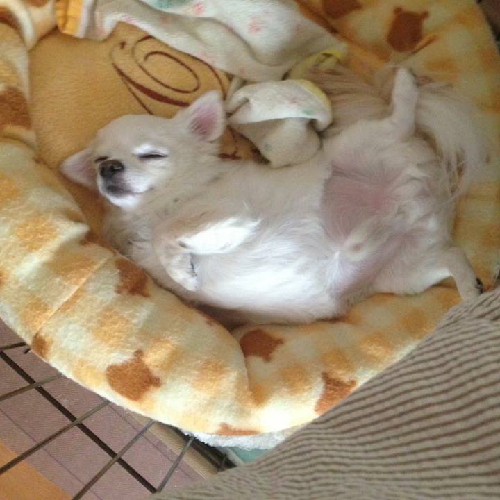 Fc3c1177 d7d3 4a11 bef9 bce425f44d4c