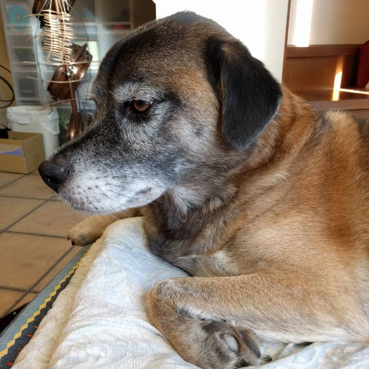 Fc3ca1a5 286e 4136 a6b4 d3ee40bd4341