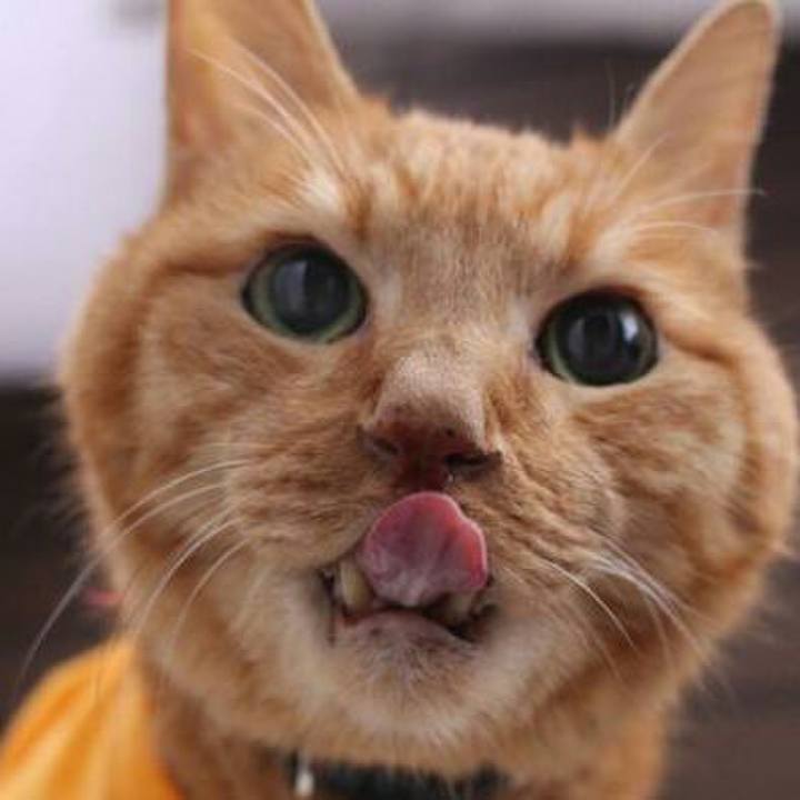 Fc3cfeba 0ebe 44ae ab48 a0b35b776505