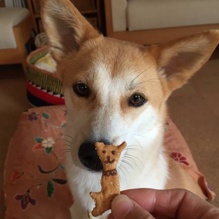 Fc3d1957 a36c 45df ab93 cdb1a1af55a5