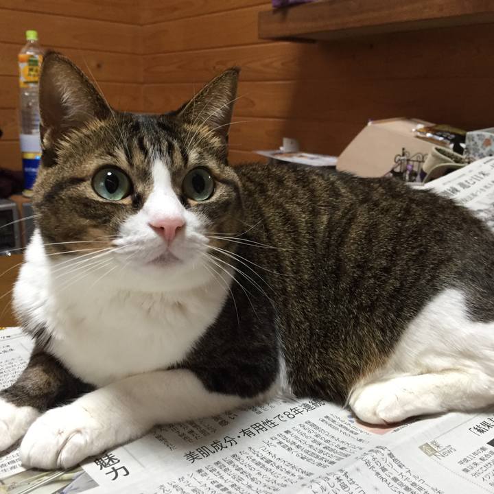 Fc3e4a66 c8a1 4dcd bc20 2614b606de78