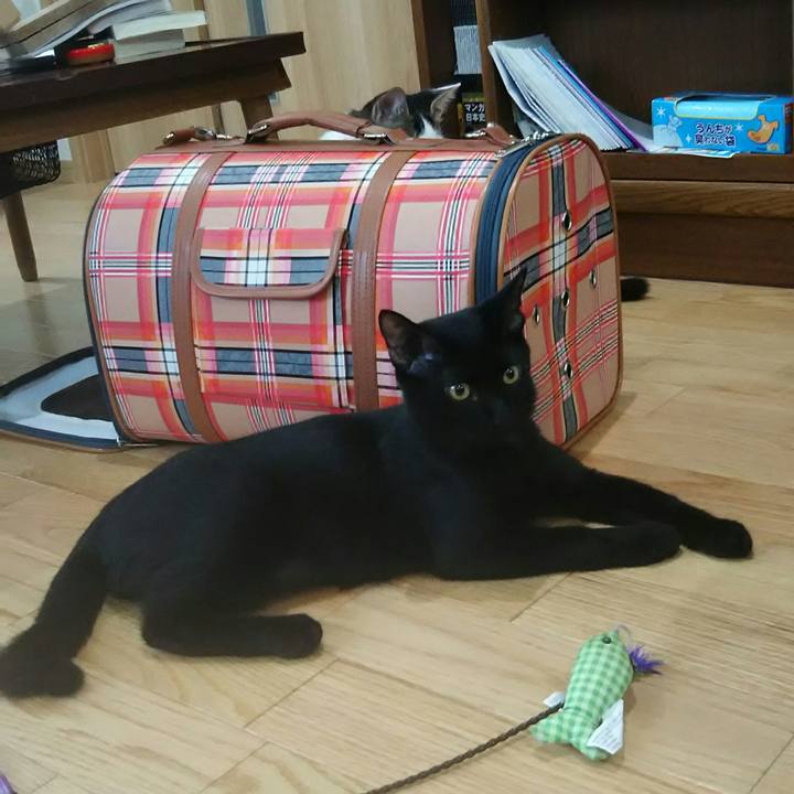 Fc3f0289 1fde 43b9 abf1 d5ecdddae295