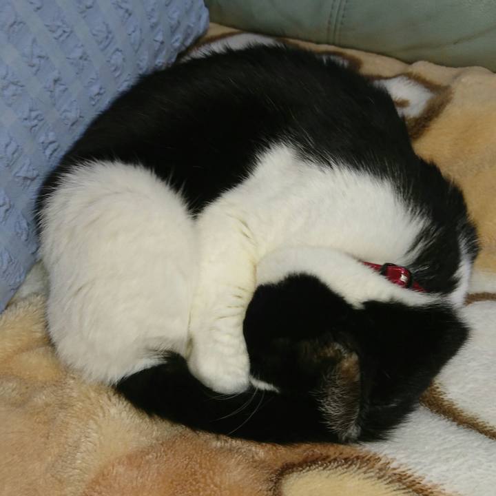 Fc3f184e 6441 4e59 a711 6b0919eb1adc